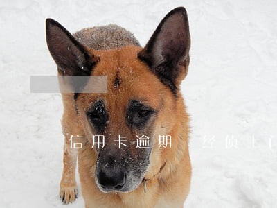 信用卡逾期 经侦上门 信用卡逾期 经侦上门